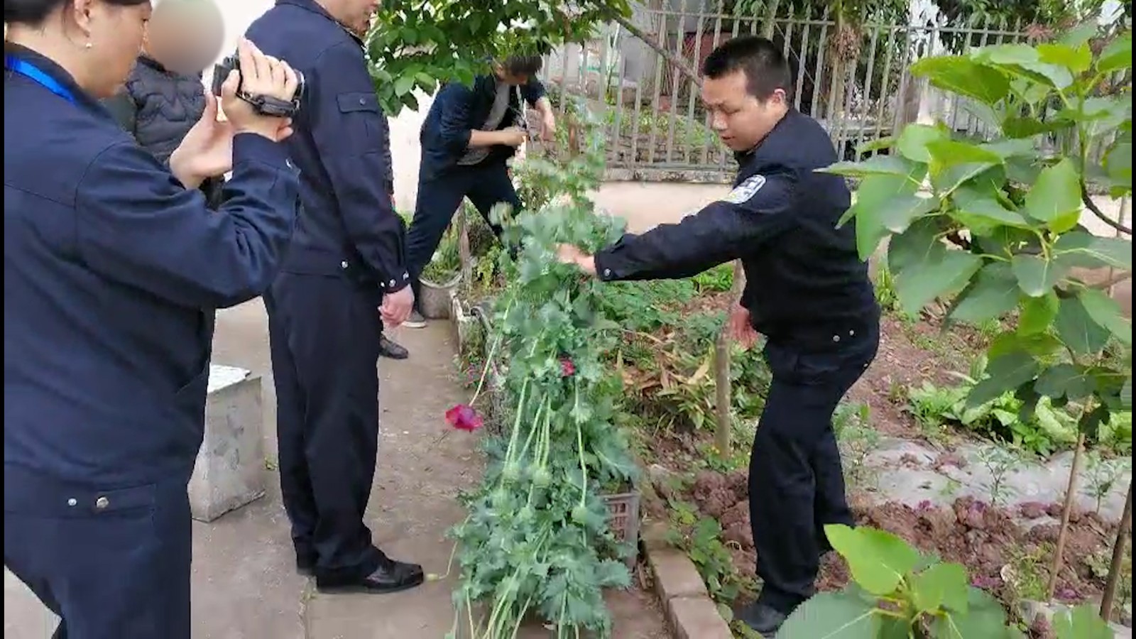 序列 04.00_01_04_01.Still014.jpg