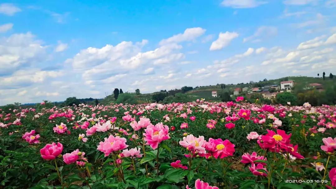 282035_1617972560997266.jpg 微信图片_20210409204746.jpg