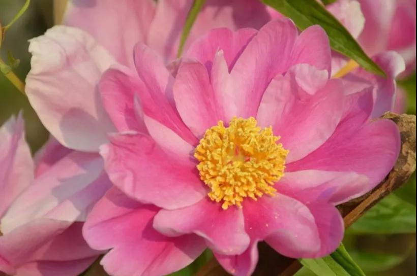 282035_1617972687608827.jpg 微信图片_20210409204802.jpg