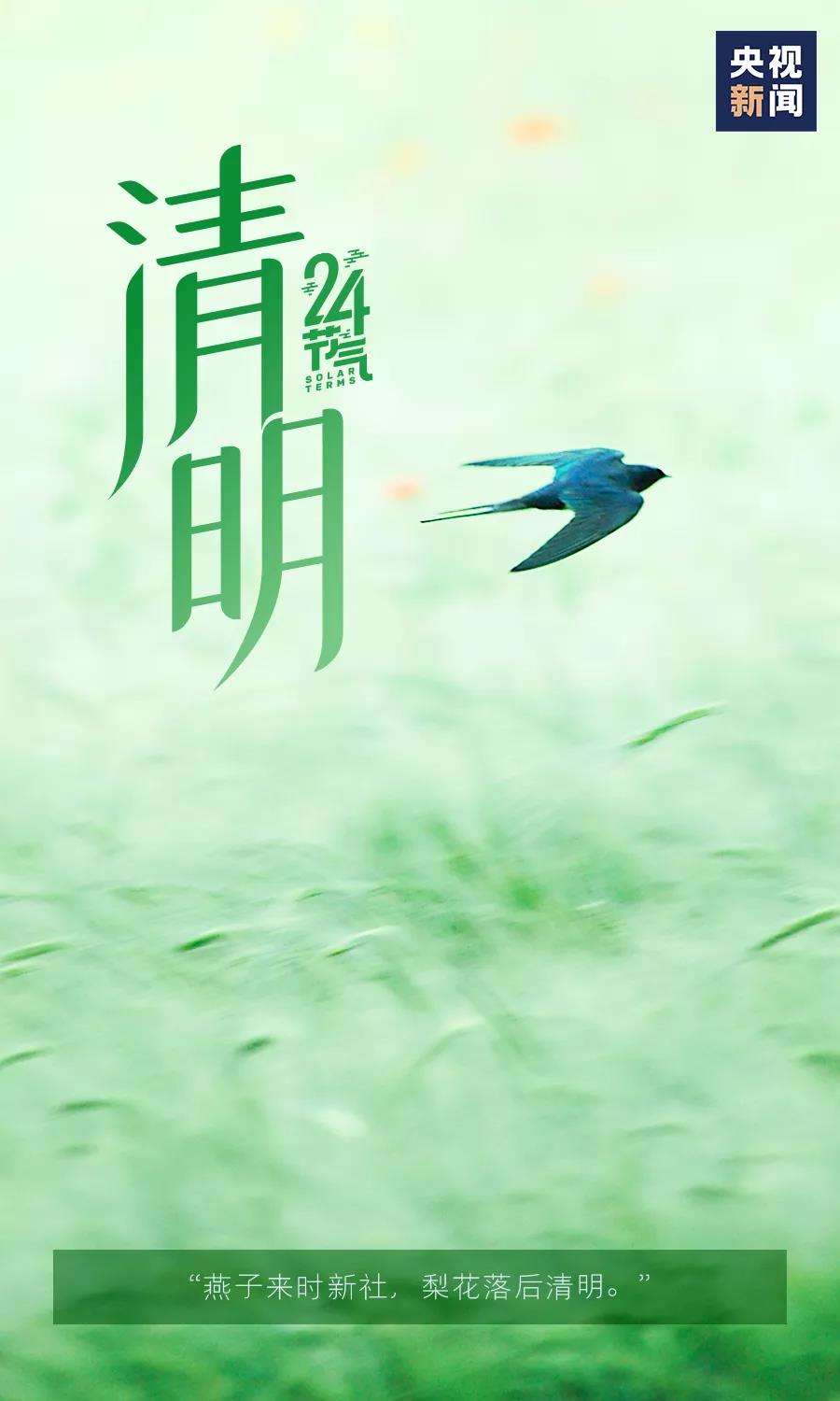 清明6.jpg