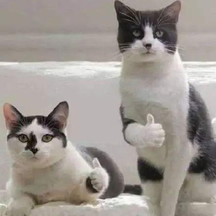 285482_1617333216490244.png 285482_1617333216490244.png