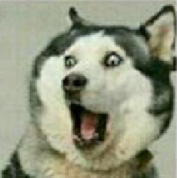 285482_1617333303262509.png 图片5.png