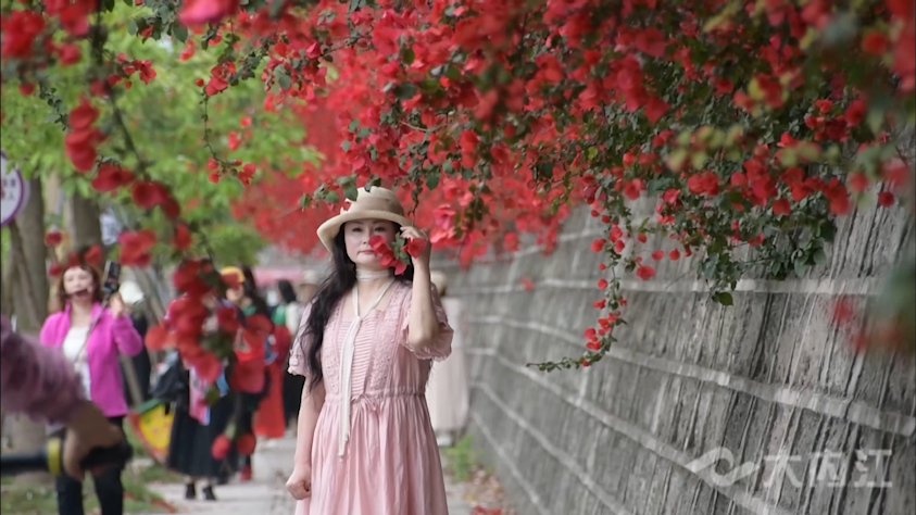 251e6ec8a8df3f5102d9504121affdc_副本.png