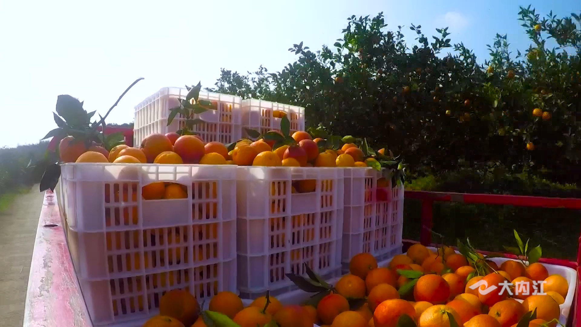 281876_1624615636644330.jpg 微信图片_20210625180601.jpg