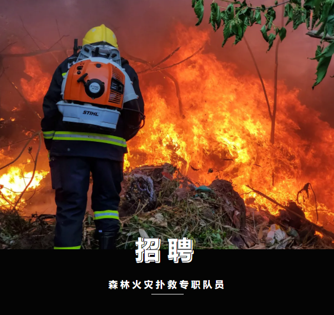 286033_1622712184218724.png 灭火瓶.png