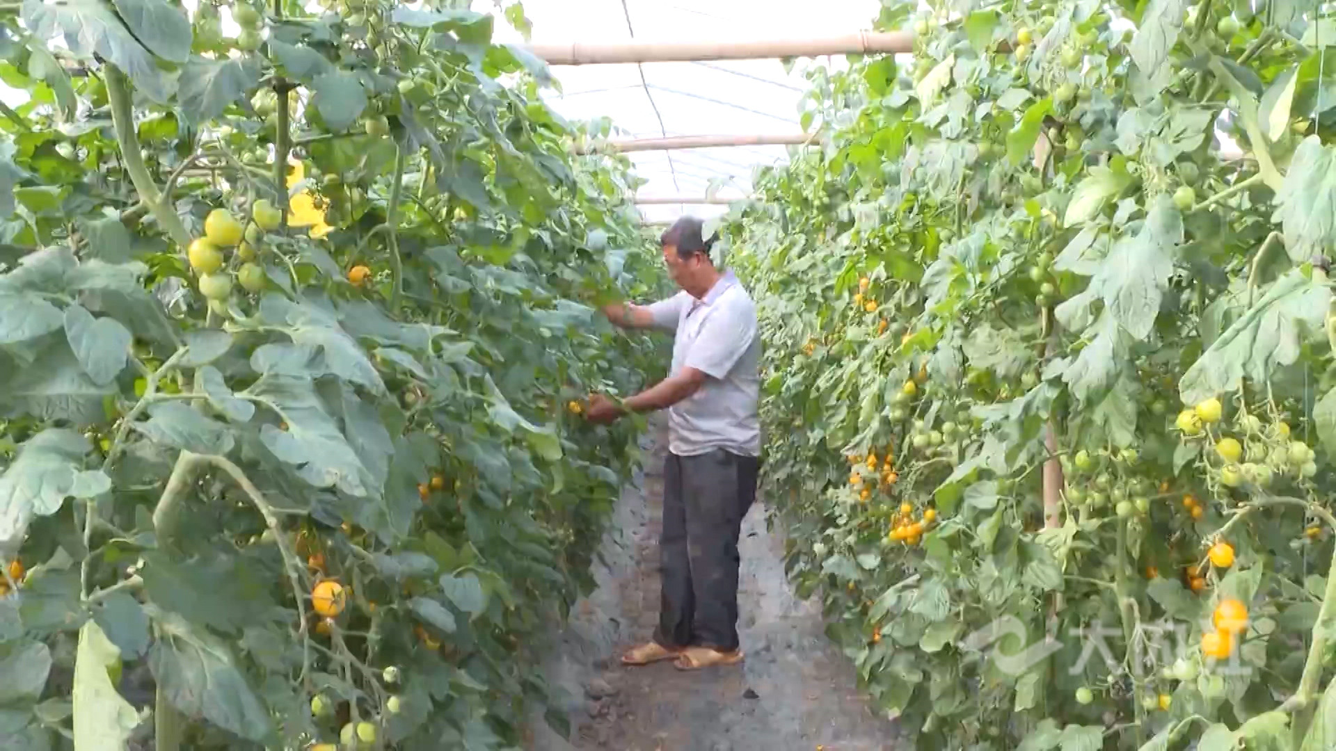 281876_1625558532135657.jpg 微信图片_20210706160123.jpg