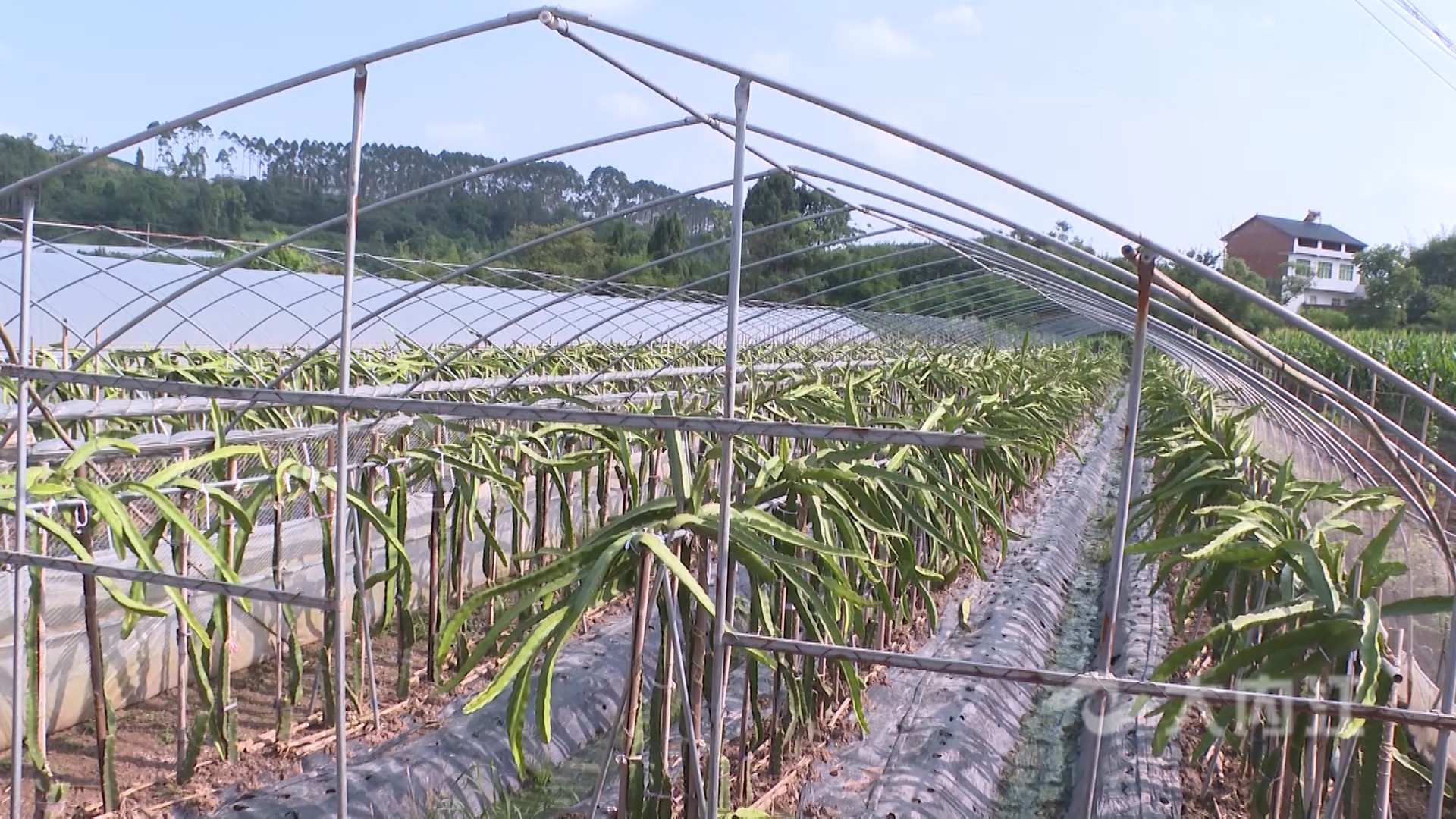 281876_1625558546219718.jpg 微信图片_20210706160126.jpg