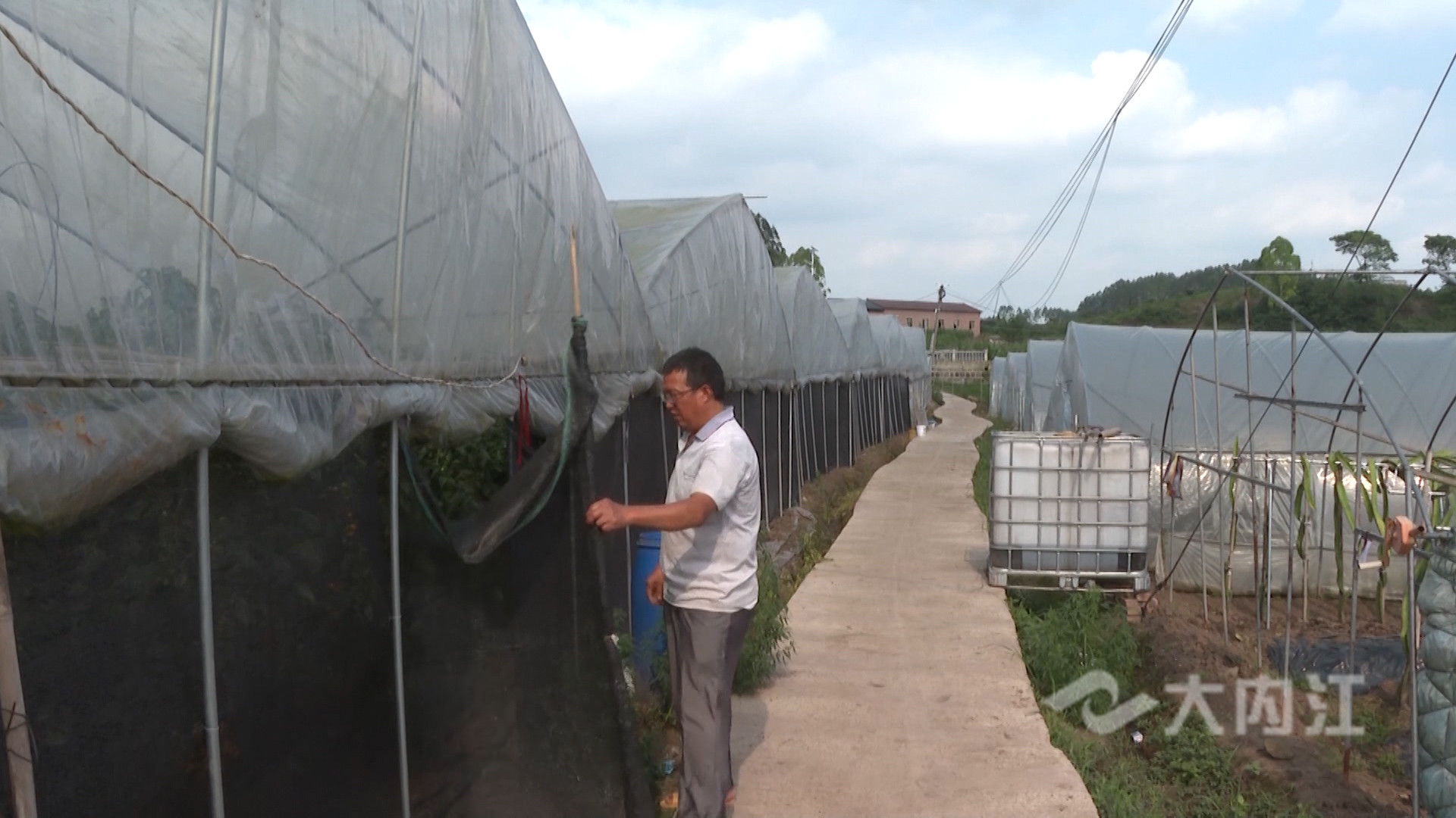 281876_1625558560598579.jpg 微信图片_20210706160130.jpg