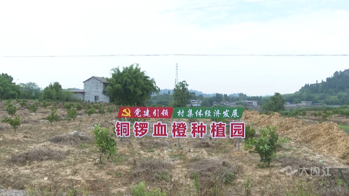 微信图片_20210712173155.png