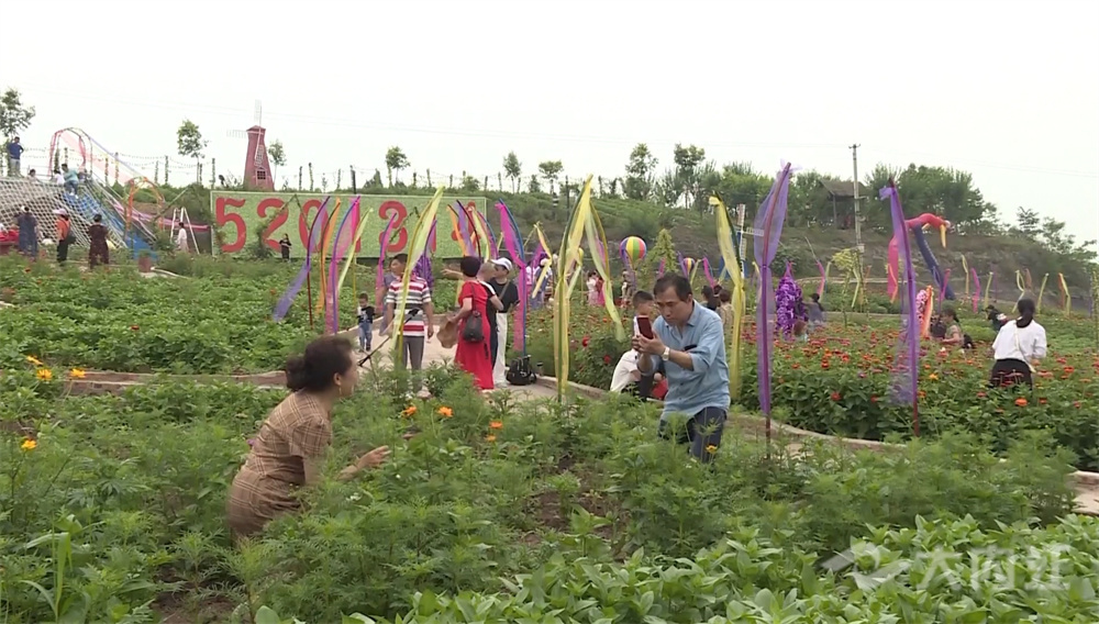286258_1627543787364483.jpg 微信图片_20210729152207_副本.jpg