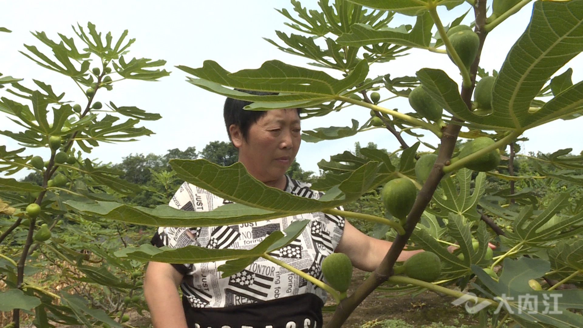 281876_1628649376321149.jpg 微信图片_20210811103448.jpg