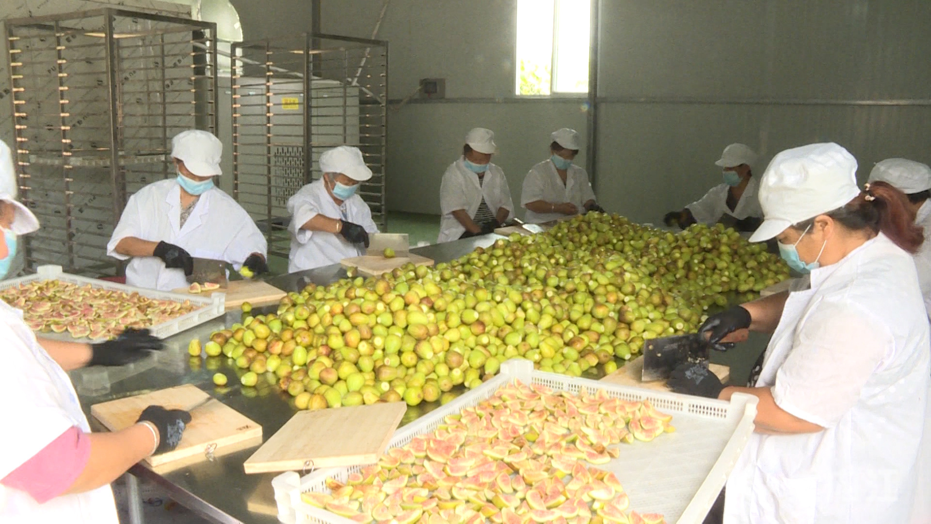 281876_1628649385529581.jpg 微信图片_20210811103457.jpg