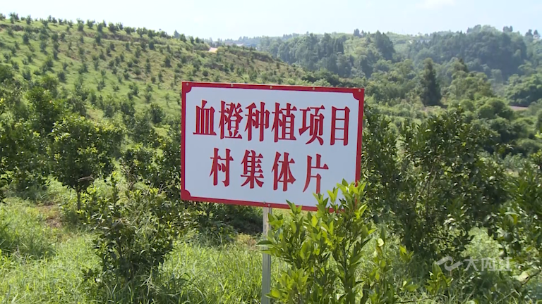 微信图片_20210816154908.png