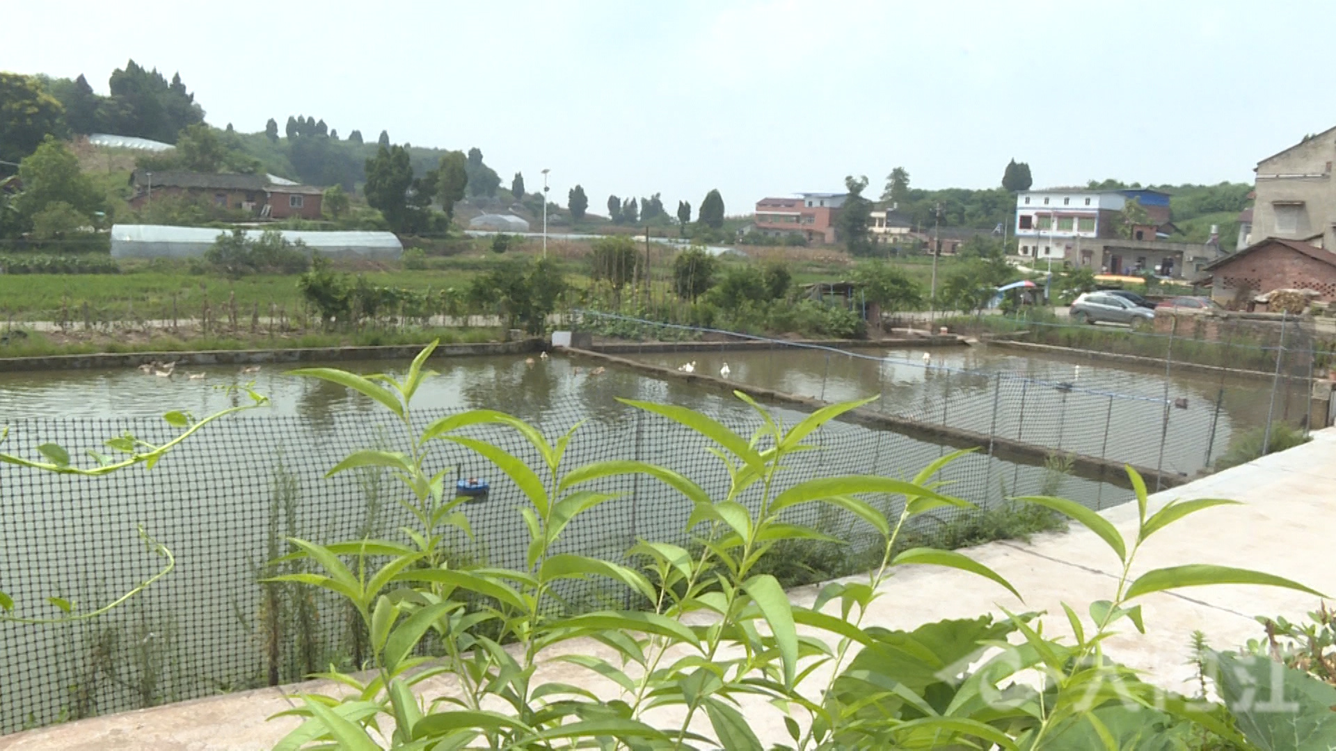 281876_1631171749519092.jpg 微信图片_20210909151457.jpg