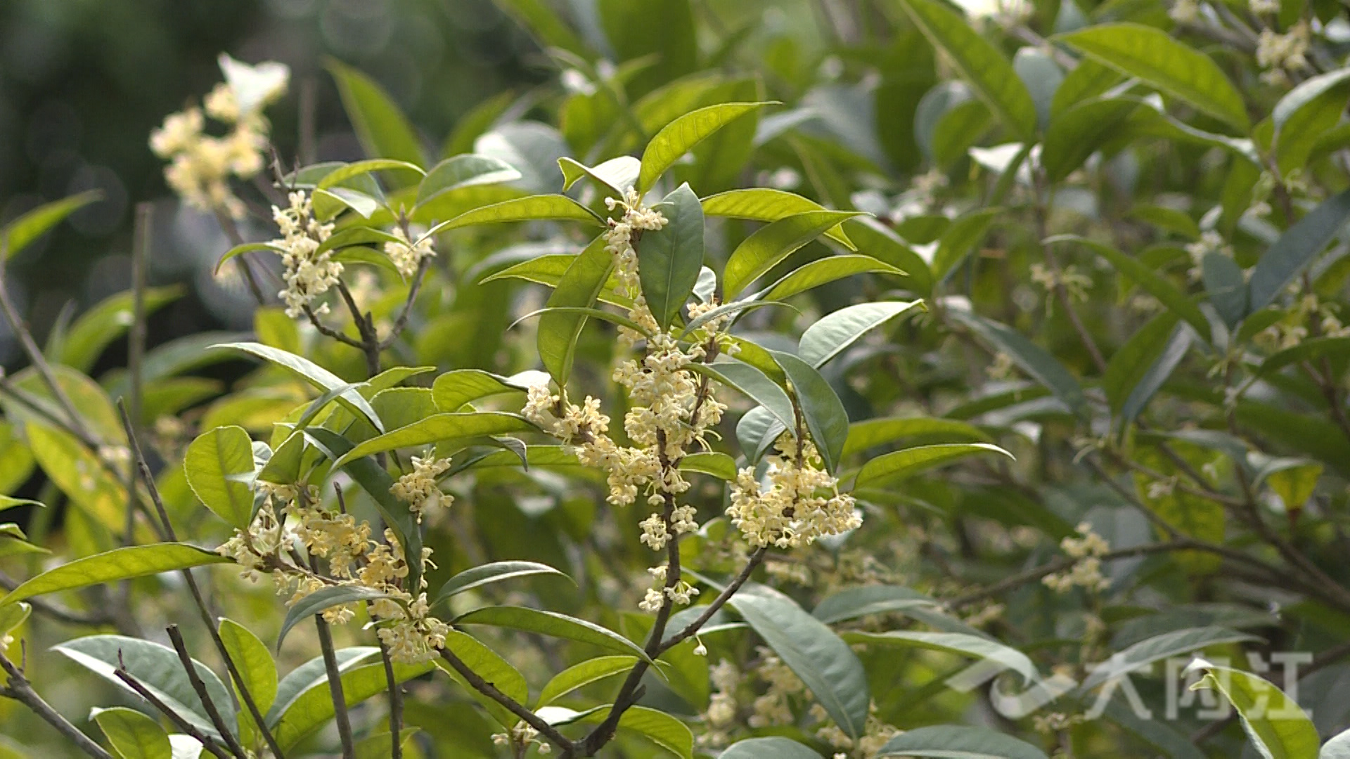 281876_1631181223922325.jpg 微信图片_20210909175257.jpg