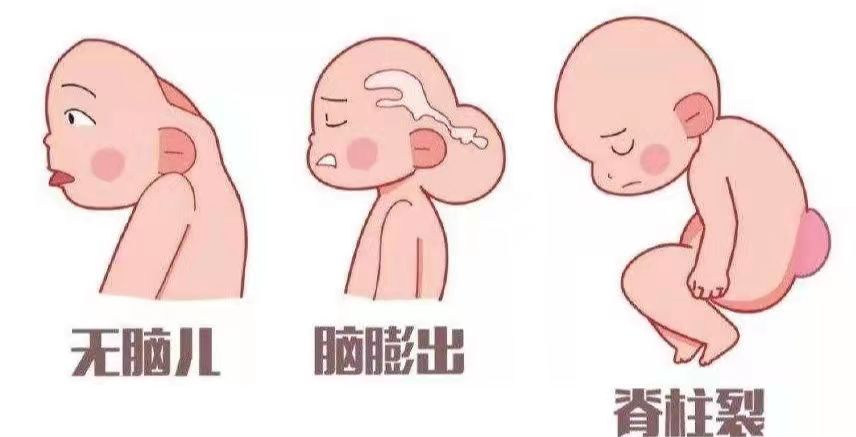 283234_1631236904994312.jpg 图5.jpg