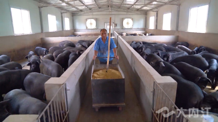 281876_1637140247865587.png 微信图片_20211117170958.png