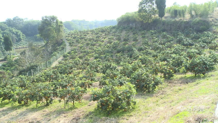 282035_1637202038510398.png 微信图片_20211118101959.png