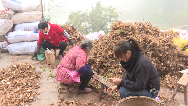 282035_1637652384934020.png 微信图片_20211123151523.png