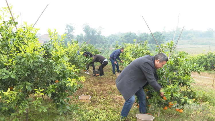 282035_1637720159727969.png 微信图片_20211124101519.png