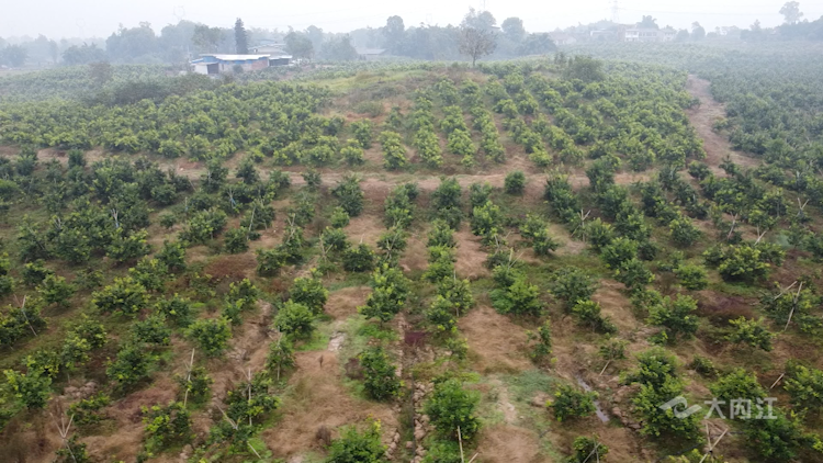 282035_1637720171643413.png 微信图片_20211124101513.png