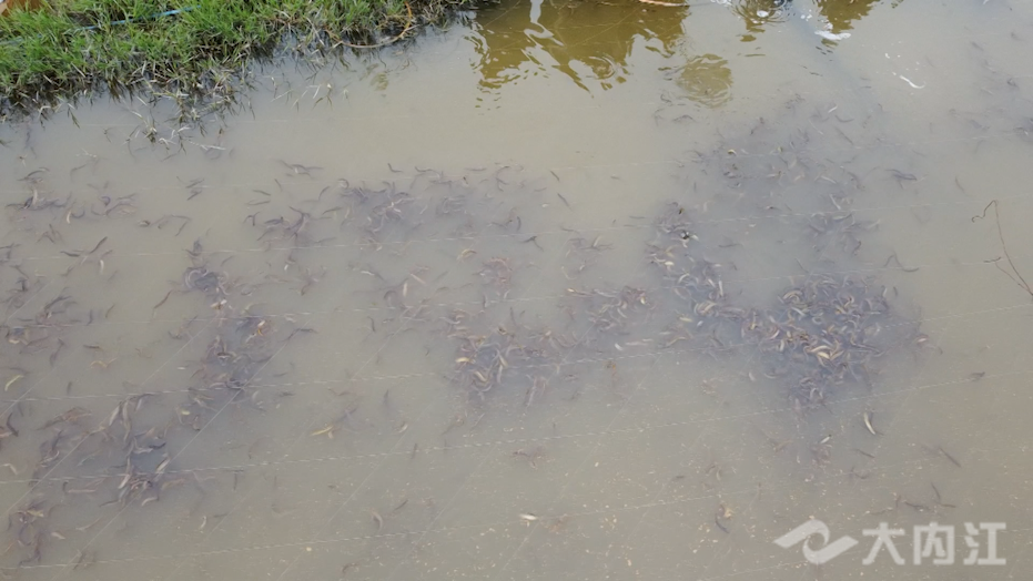 281876_1638326866367537.png 微信图片_20211201104638.png