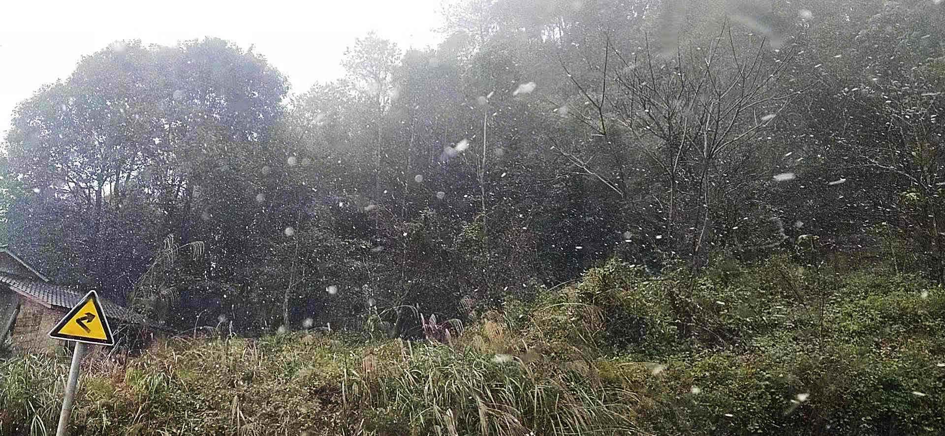 282126_1640501621867025.jpg 微信图片_20211226145229.jpg