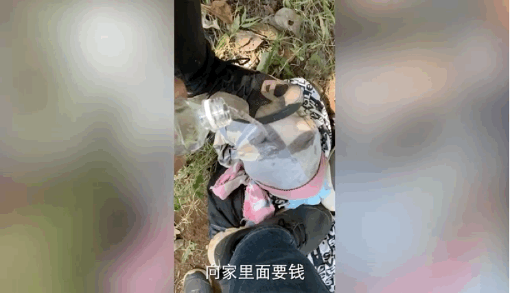 286033_1638409864179777.gif 3.gif