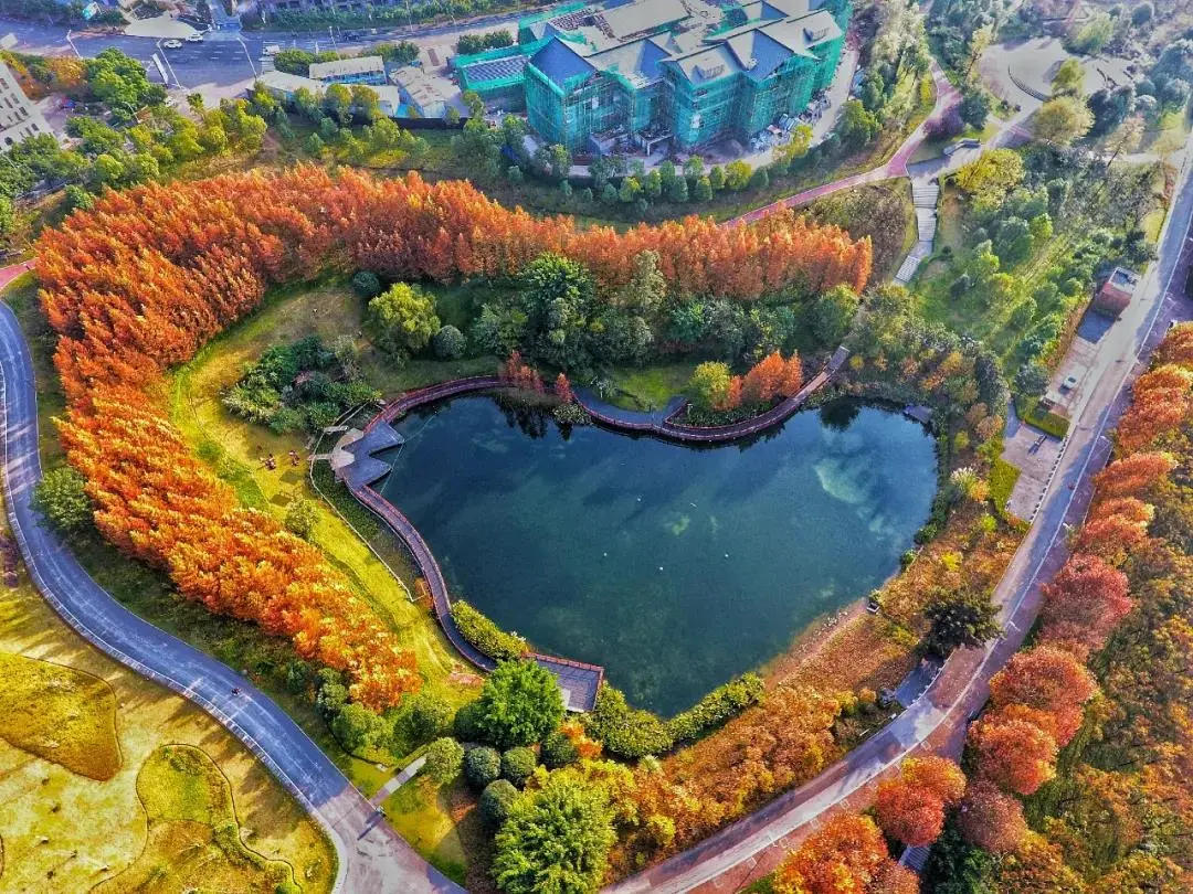 彩色植物圍繞西部(重慶)科學城金鳳鎮九鳳瑤池美景遠眺鴻恩寺森林公園