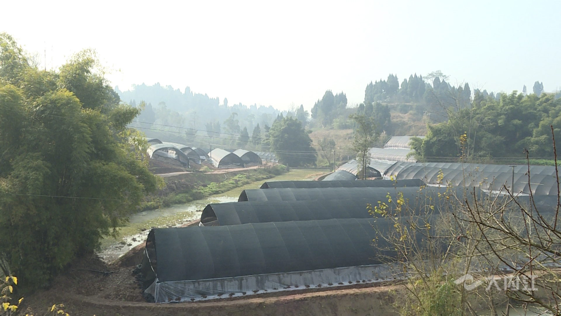 282035_1642750749626400.jpg 微信图片_20220121153338.jpg