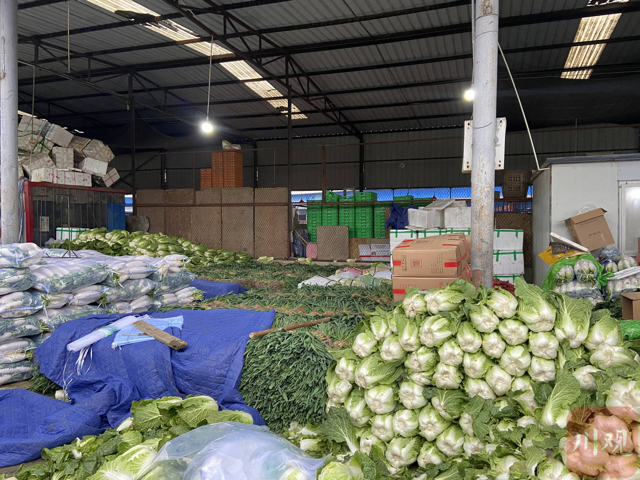 新春走基层探访西南最大农产品批发市场蔬菜由两天一发变为一天一发