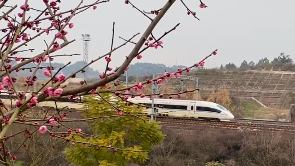 微信截图_20220222164511.png