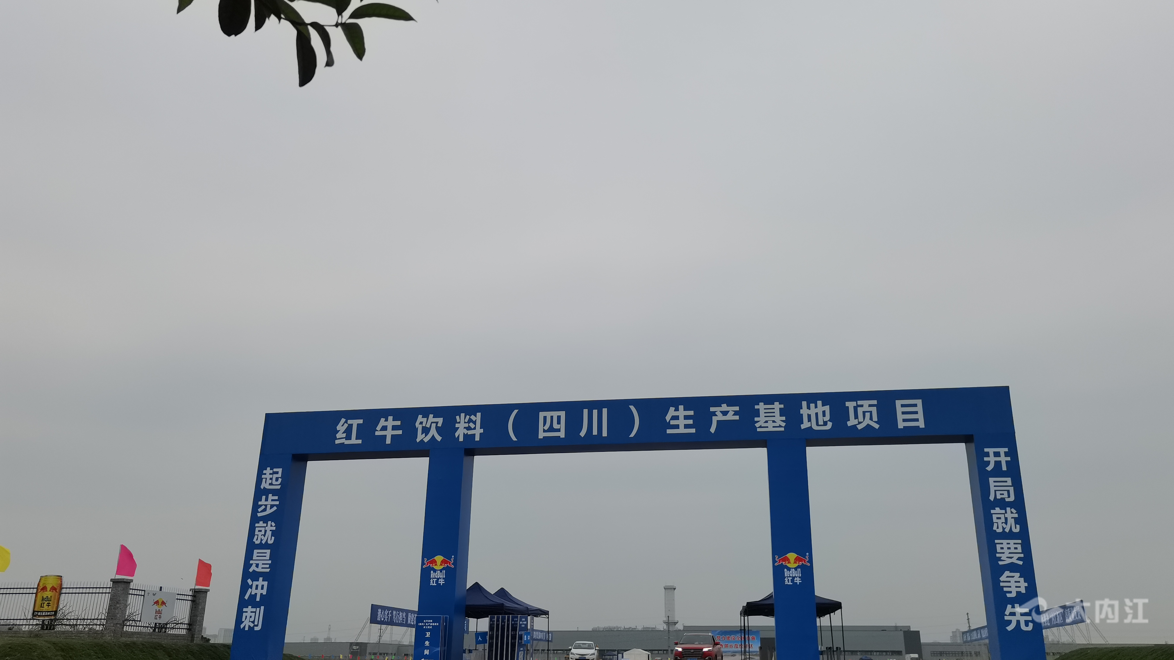 269955_1648524545265929.jpg 269955_1648524545265929.jpg