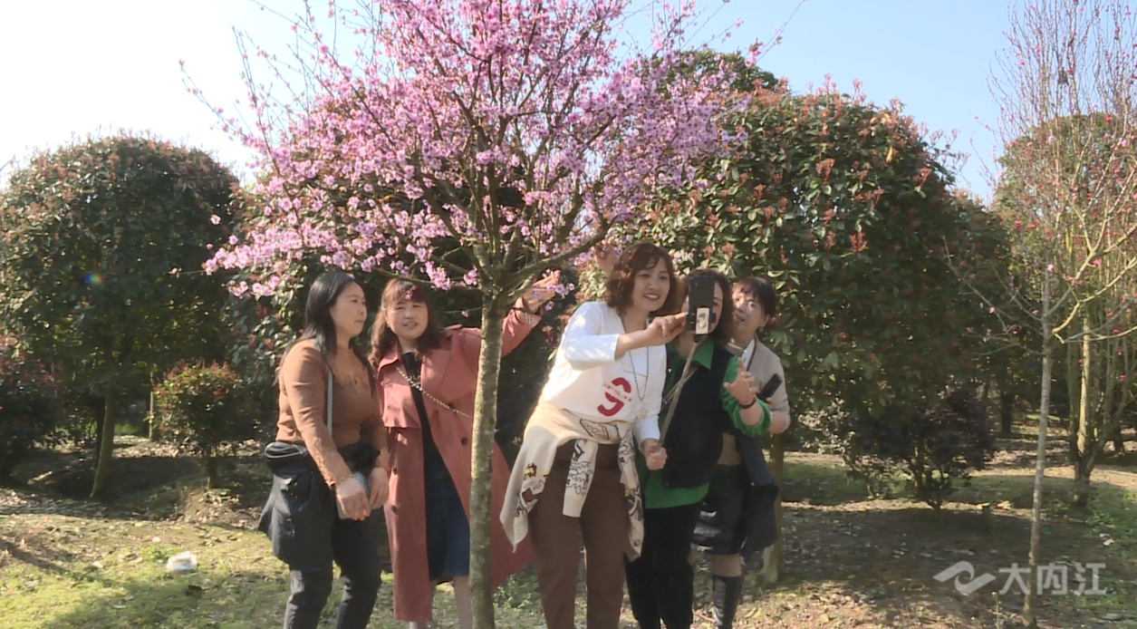 微信图片_20220309093618_副本.png