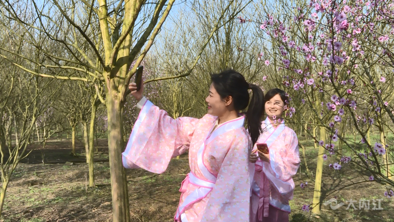 微信图片_20220309093529_副本.png