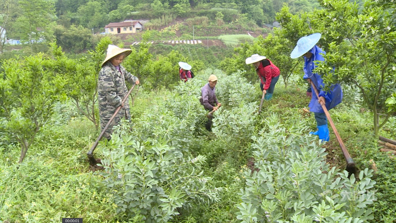 282126_1648796244875032.png 微信图片_20220401145459.png