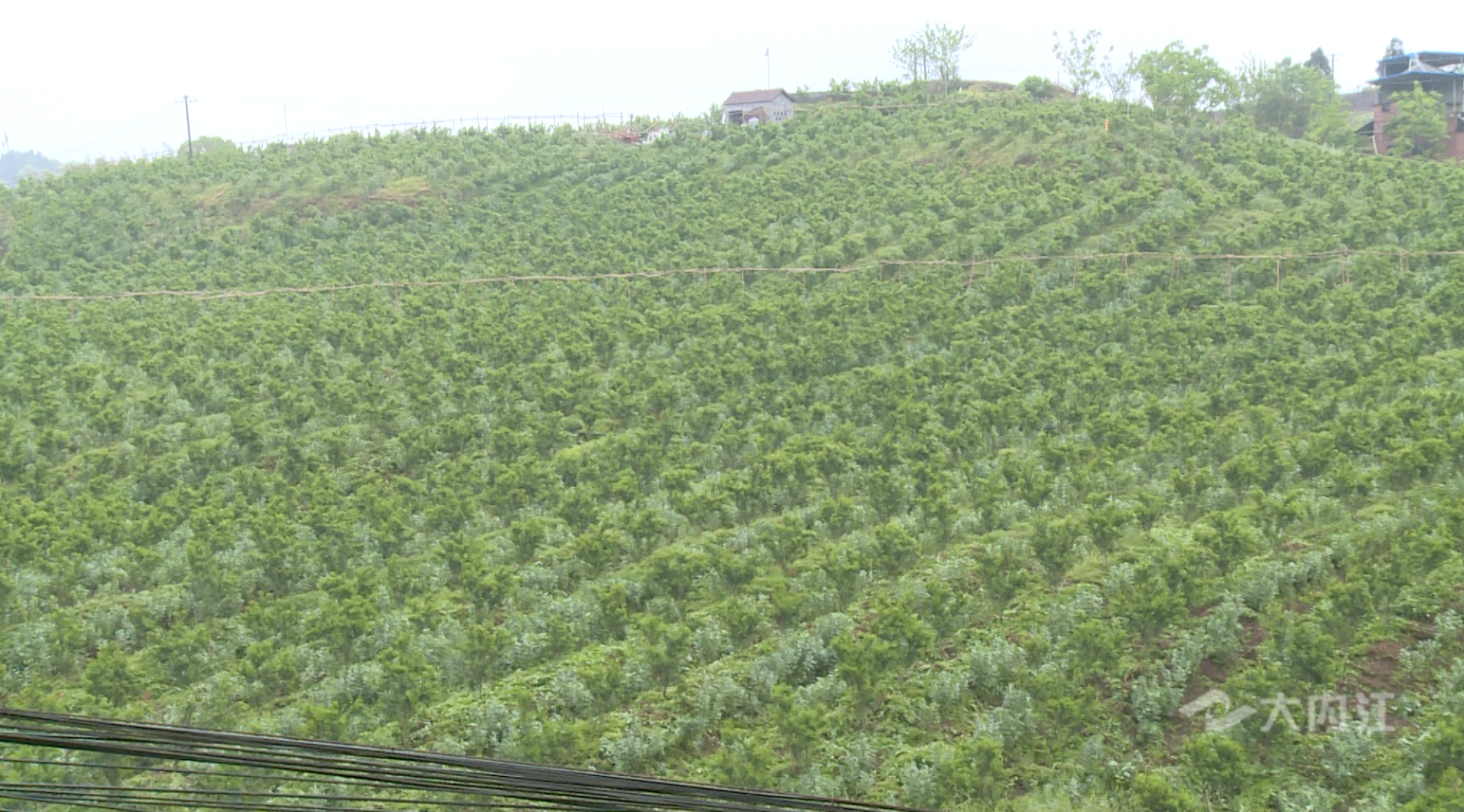 282126_1648796282240062.png 微信图片_20220401145508.png