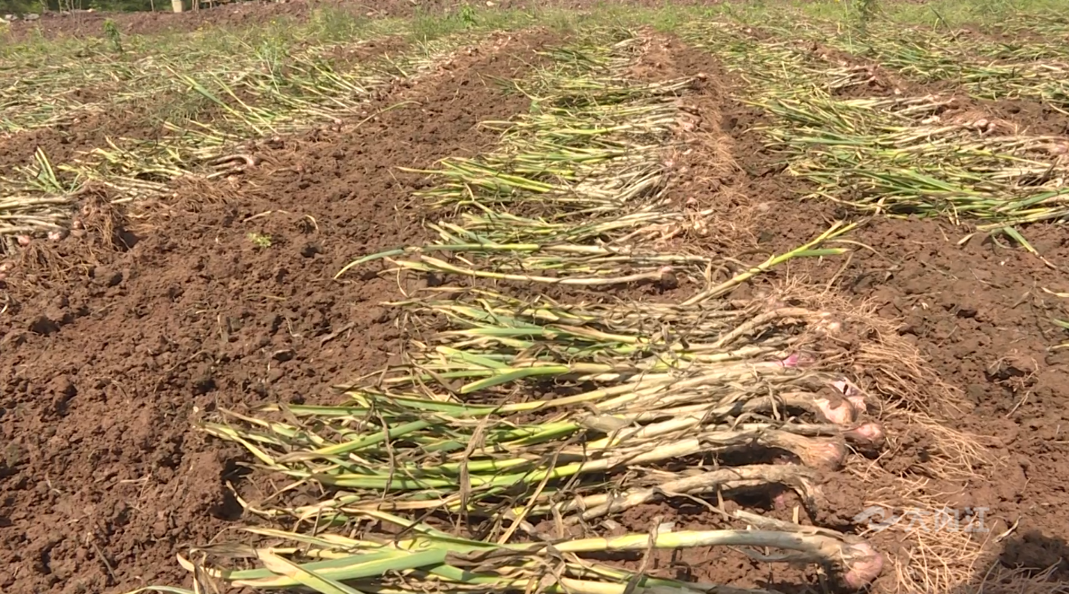 282126_1650419728243968.png 微信图片_20220420095000.png