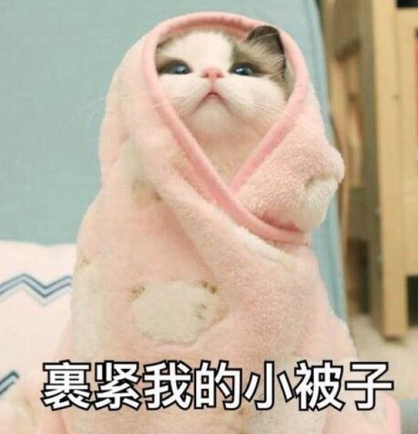 286033_1650267814137372.png 裹紧小杯子.png