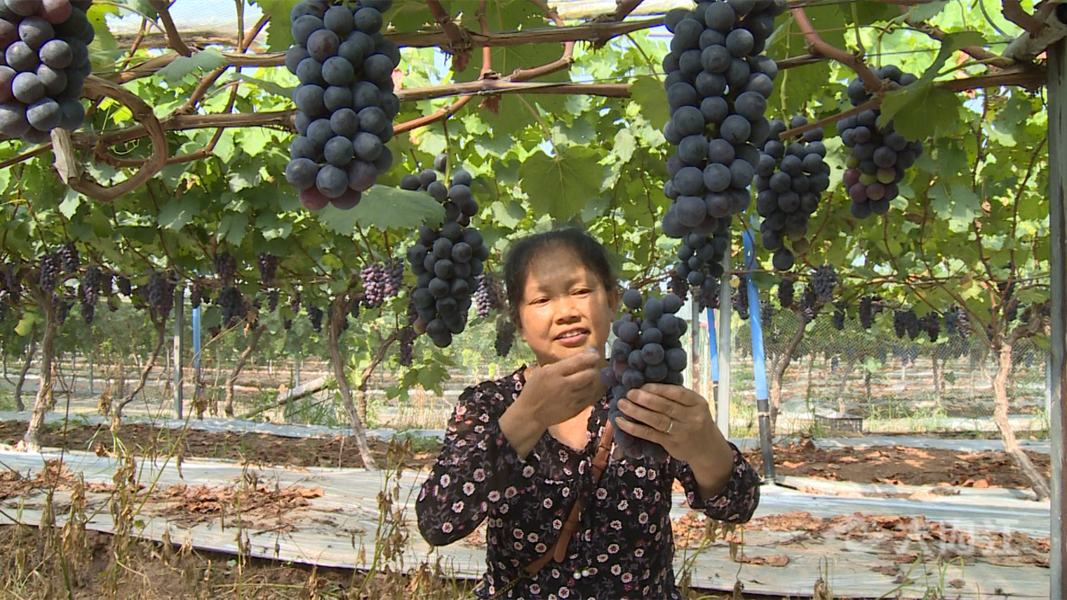 微信截图_20220708161510.png