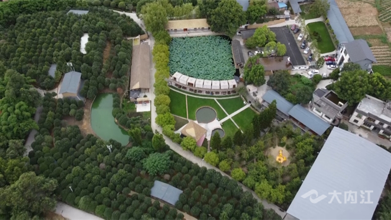 320608_1657868900285478.jpg H1.jpg