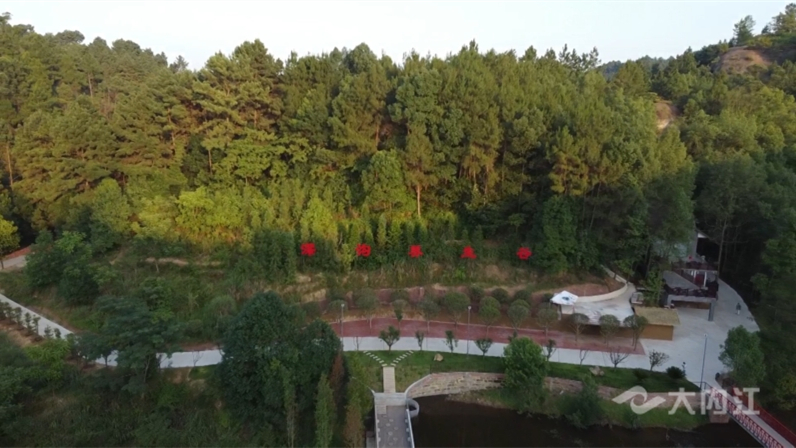 320608_1657869097589058.jpg HA.jpg