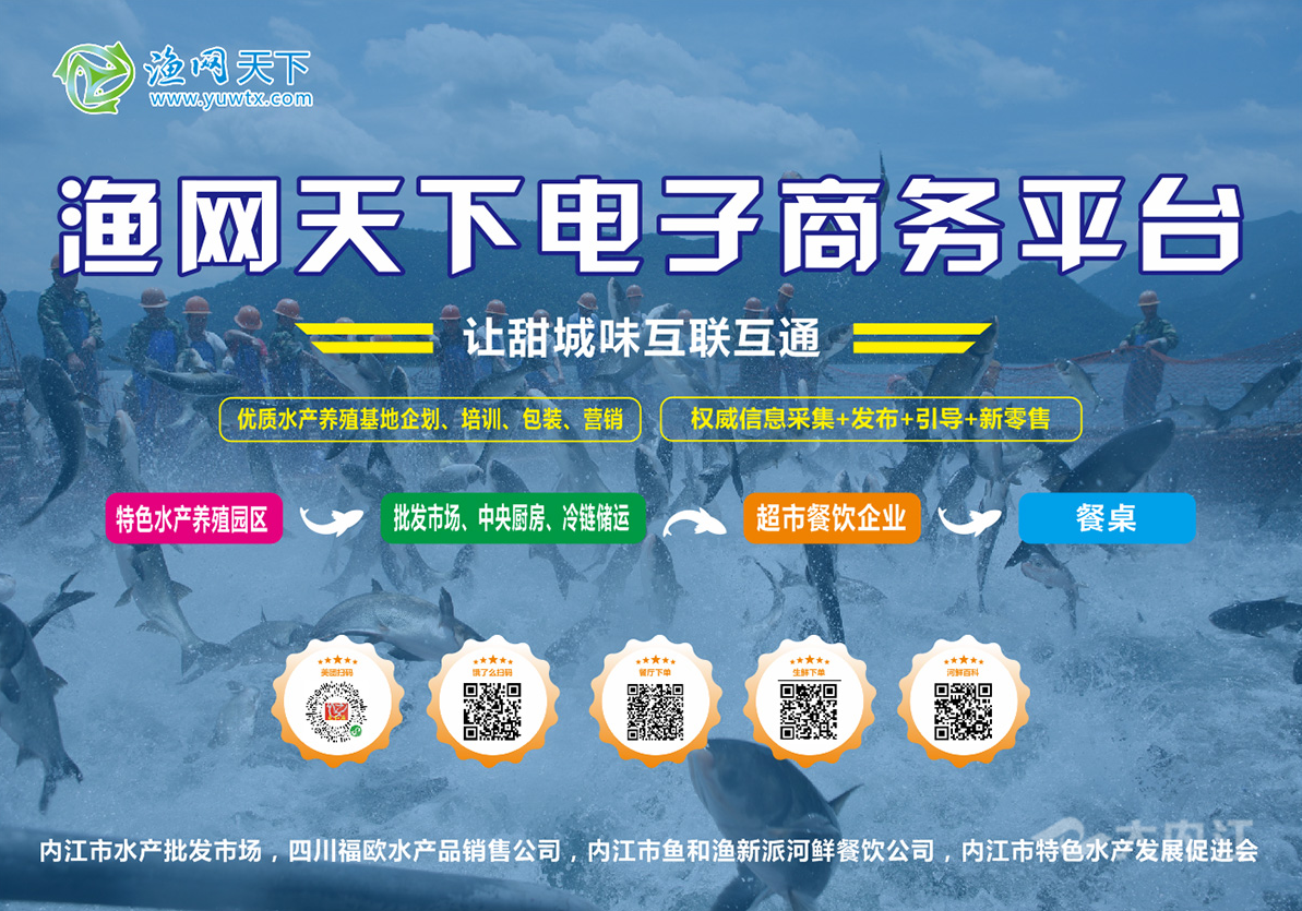 323896_1657696140565622.png 渔网天下.png