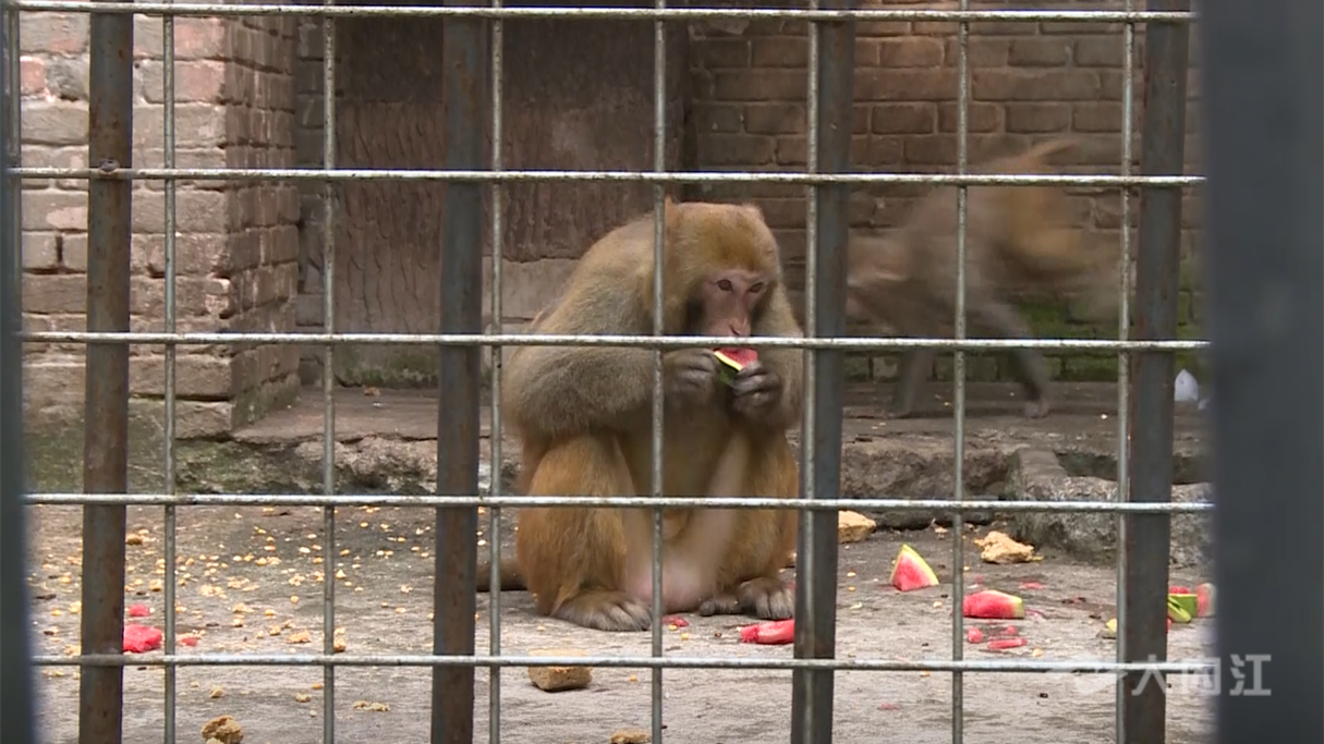 323896_1657791440951530.png 微信图片_20220713171944.png