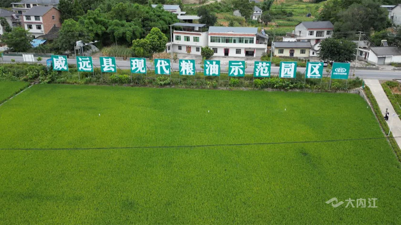 微信截图_20220804145234.png