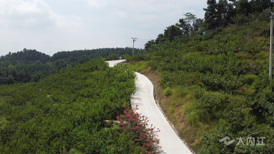 DJI_0910.00_01_37_17.静止002.bmp