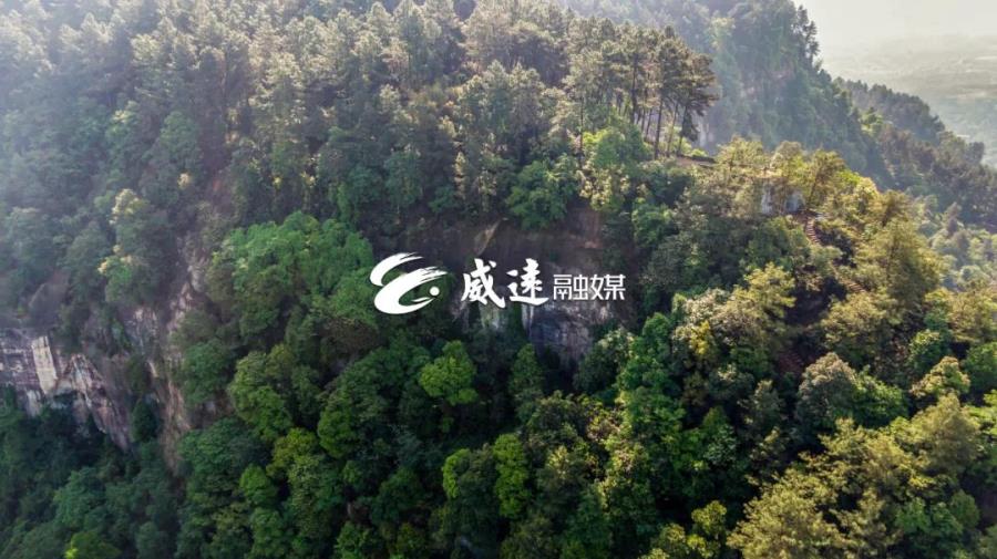 640_wx_fmt=jpeg&wxfrom=5&wx_lazy=1&wx_co=1 (6).jpg