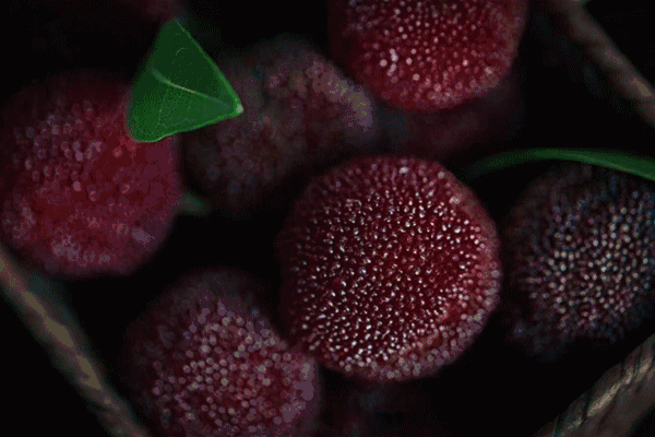 5c480a980ba6ca736856965433fcc760.gif 图片