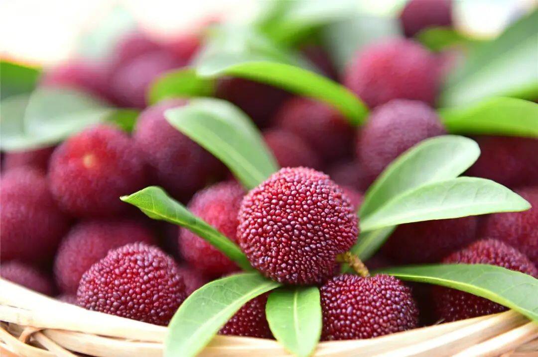 15d338eace68d9b1f39dd3885d34565b.jpeg 图片