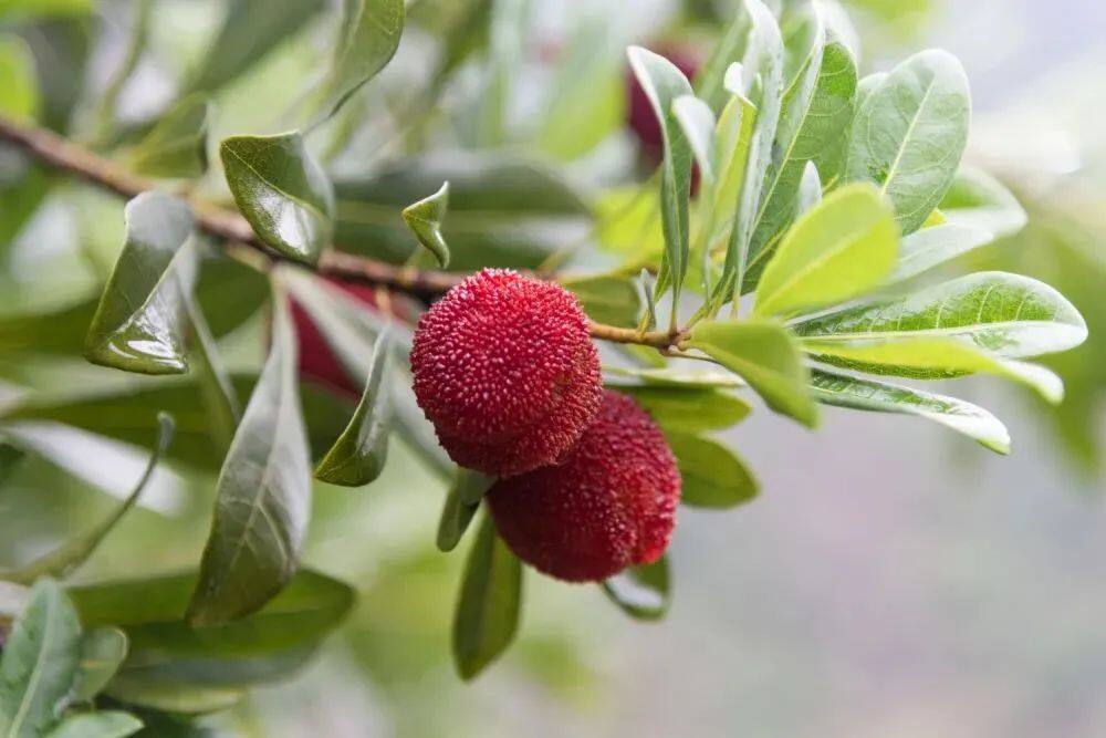 微信图片_20210528162054.jpg 图片